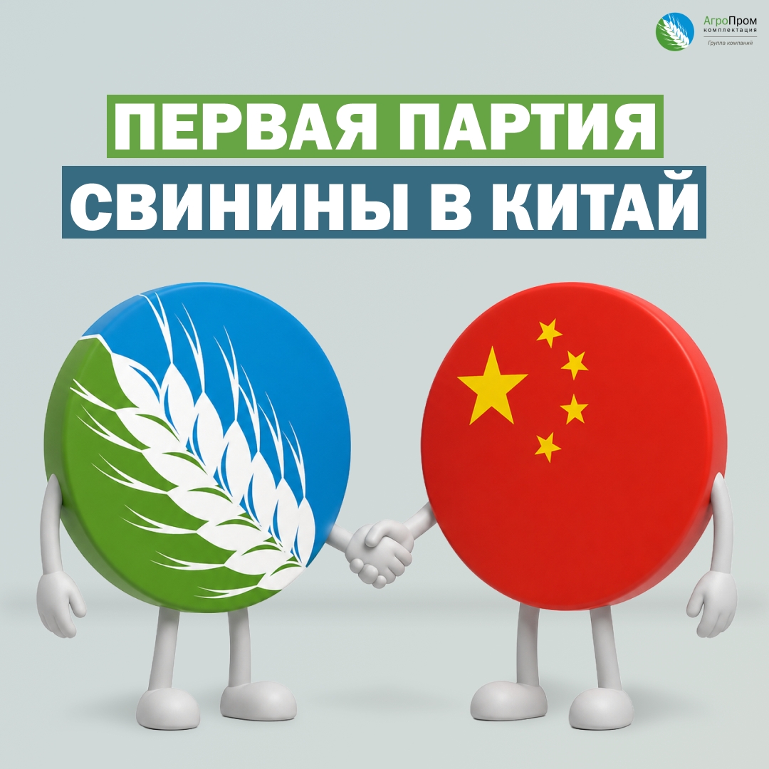 24.08.2026.018
